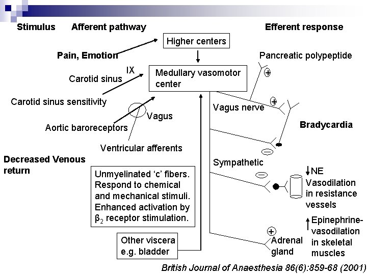 Stimulus Afferent pathway Efferent response Higher centers Pain, Emotion Pancreatic polypeptide Carotid sinus IX