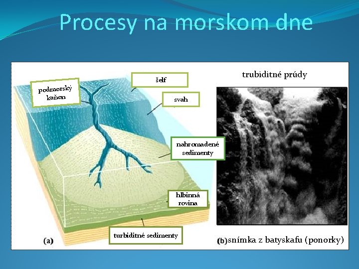 Procesy na morskom dne podmorský kaňon trubiditné prúdy šelf svah nahromadené sedimenty hlbinná rovina