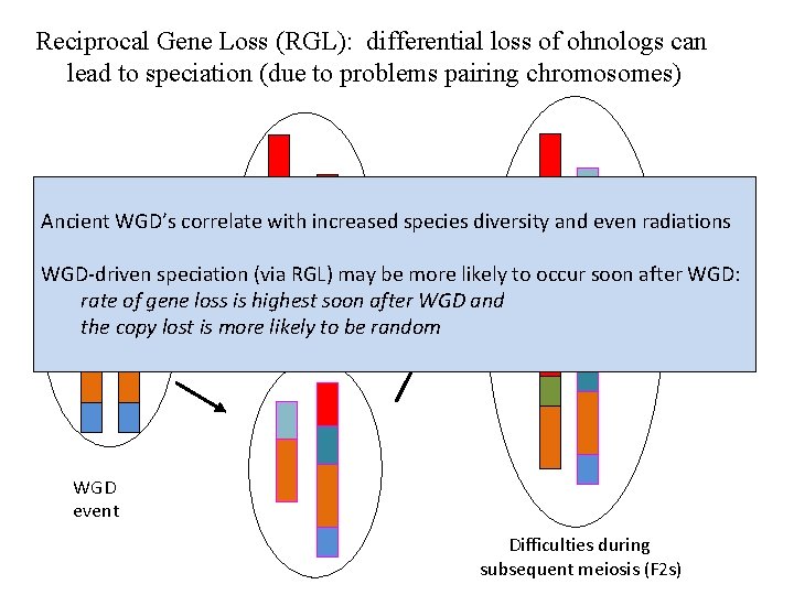Reciprocal Gene Loss (RGL): differential loss of ohnologs can lead to speciation (due to