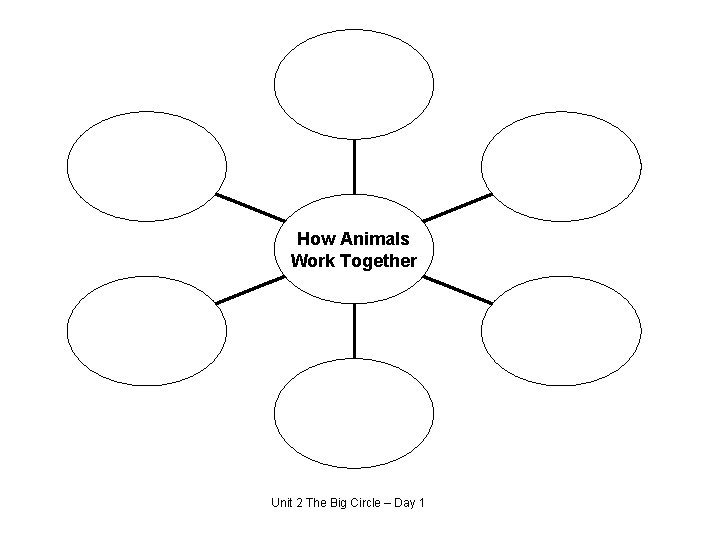 How Animals Work Together Unit 2 The Big Circle – Day 1 