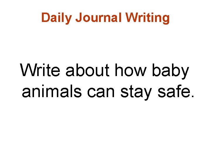 Daily Journal Writing Write about how baby animals can stay safe. 