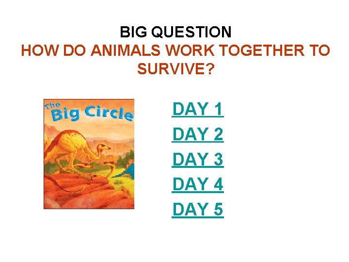 BIG QUESTION HOW DO ANIMALS WORK TOGETHER TO SURVIVE? DAY 1 DAY 2 DAY
