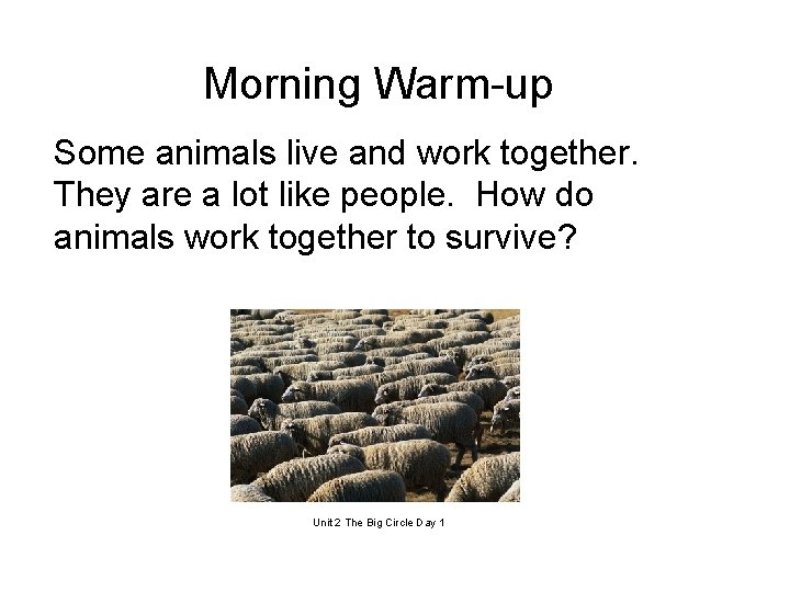 Morning Warm-up Some animals live and work together. They are a lot like people.