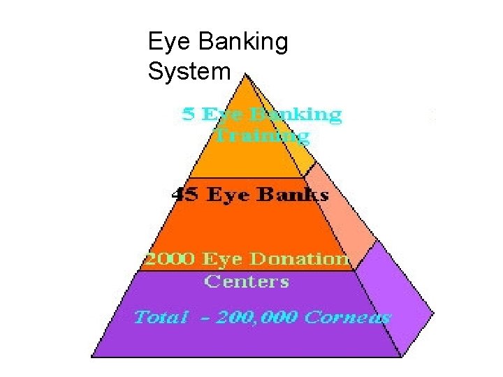 Eye Banking System 