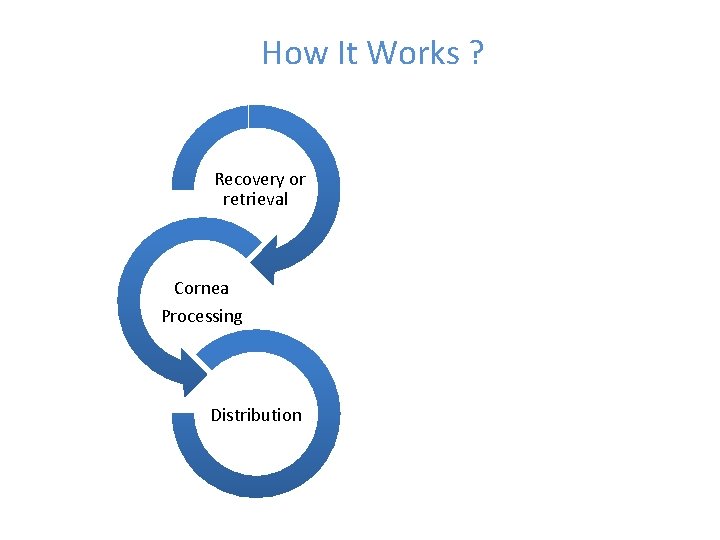 How It Works ? Recovery or retrieval Cornea Processing Distribution 