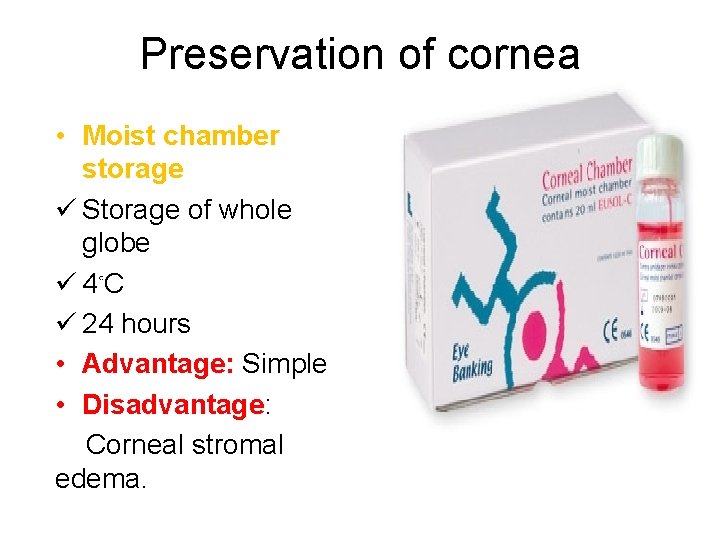 Preservation of cornea • Moist chamber storage ü Storage of whole globe ü 4◦