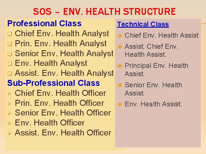 SOS – ENV. HEALTH STRUCTURE Professional Class Technical Class q Chief Env. Health Analyst