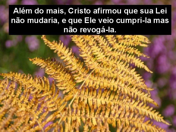 Além do mais, Cristo afirmou que sua Lei não mudaria, e que Ele veio