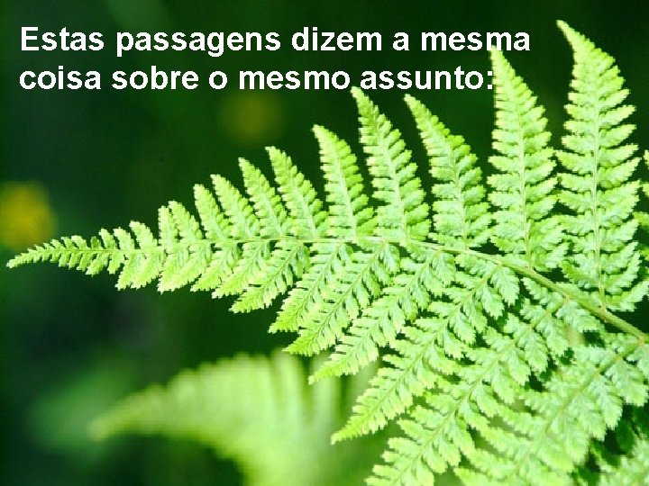 Estas passagens dizem a mesma coisa sobre o mesmo assunto: 