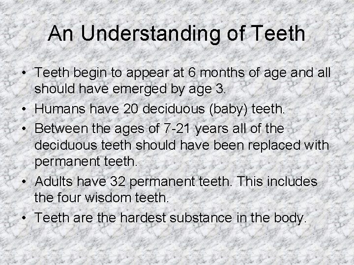 An Understanding of Teeth • Teeth begin to appear at 6 months of age