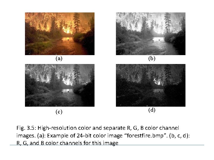 (a) (b) (c) (d) Fig. 3. 5: High-resolution color and separate R, G, B