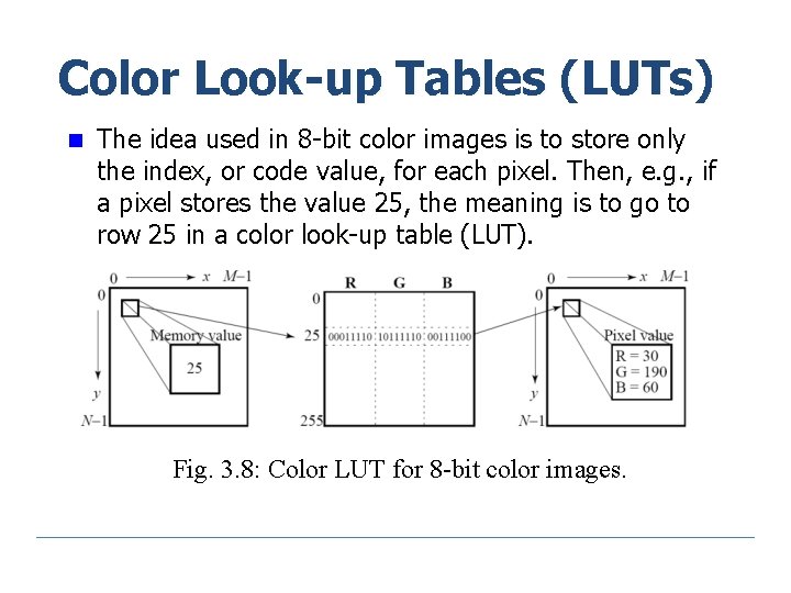 Color Look-up Tables (LUTs) n The idea used in 8 -bit color images is