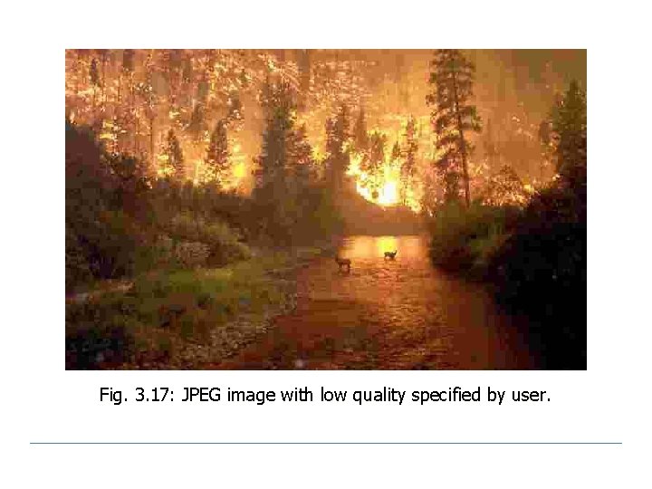 Fig. 3. 17: JPEG image with low quality specified by user. 