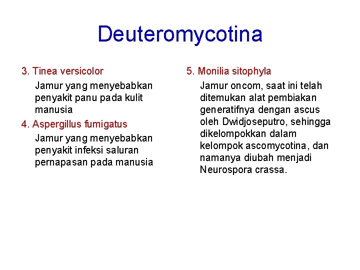 Deuteromycotina 3. Tinea versicolor Jamur yang menyebabkan penyakit panu pada kulit manusia 4. Aspergillus