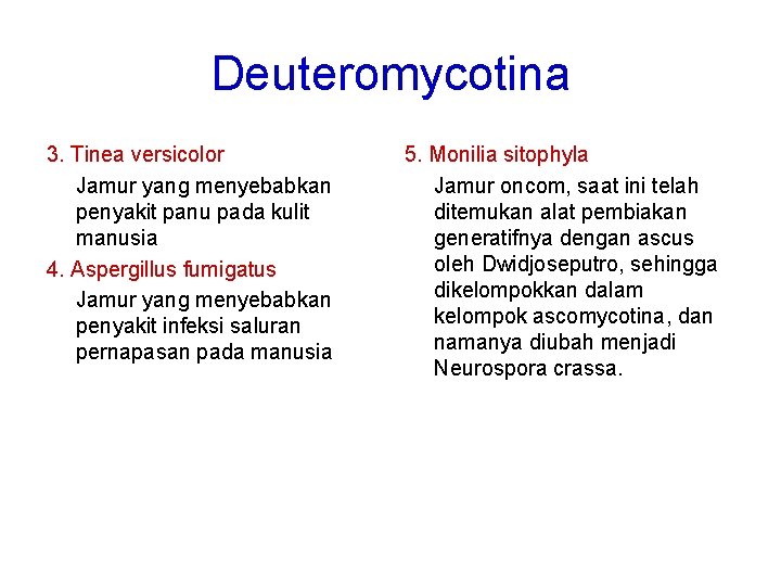 Deuteromycotina 3. Tinea versicolor Jamur yang menyebabkan penyakit panu pada kulit manusia 4. Aspergillus