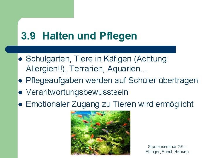 3. 9 Halten und Pflegen l l Schulgarten, Tiere in Käfigen (Achtung: Allergien!!), Terrarien,