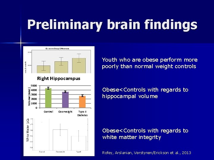 Preliminary brain findings Youth who are obese perform more poorly than normal weight controls