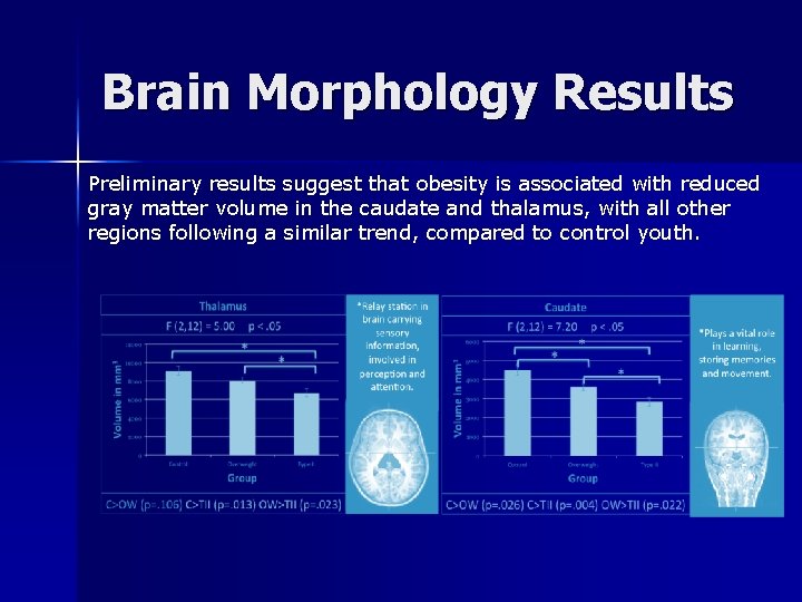 Brain Morphology Results Preliminary results suggest that obesity is associated with reduced gray matter