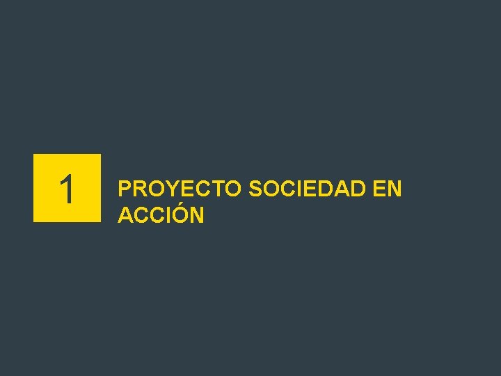 1 PROYECTO SOCIEDAD EN ACCIÓN 