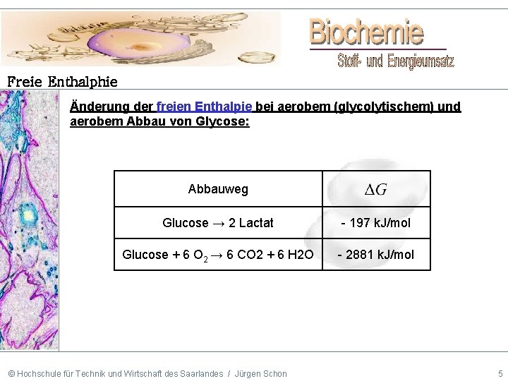 Freie Enthalphie Änderung der freien Enthalpie bei aerobem (glycolytischem) und aerobem Abbau von Glycose: