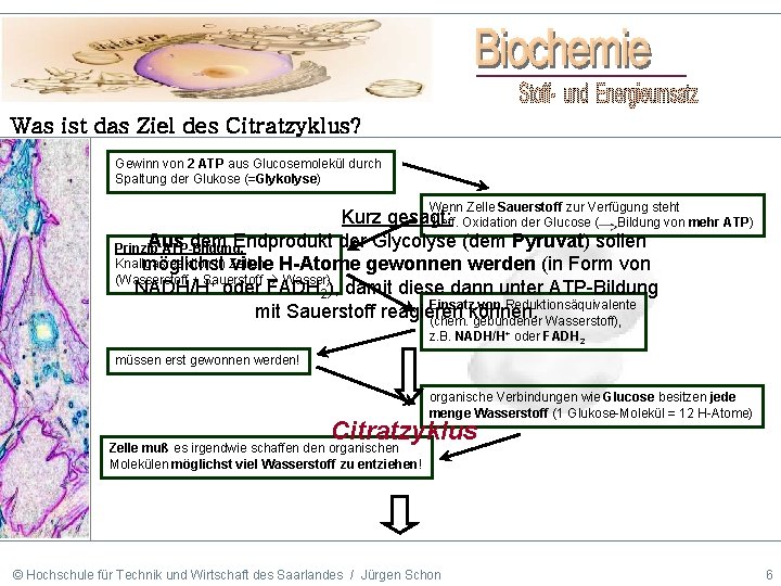 Was ist das Ziel des Citratzyklus? Gewinn von 2 ATP aus Glucosemolekül durch Spaltung