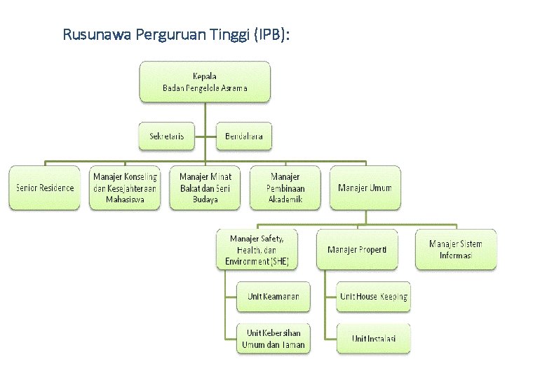 Rusunawa Perguruan Tinggi (IPB): 