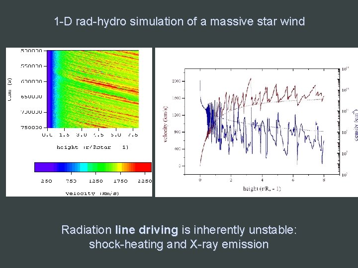 1 -D rad-hydro simulation of a massive star wind Radiation line driving is inherently