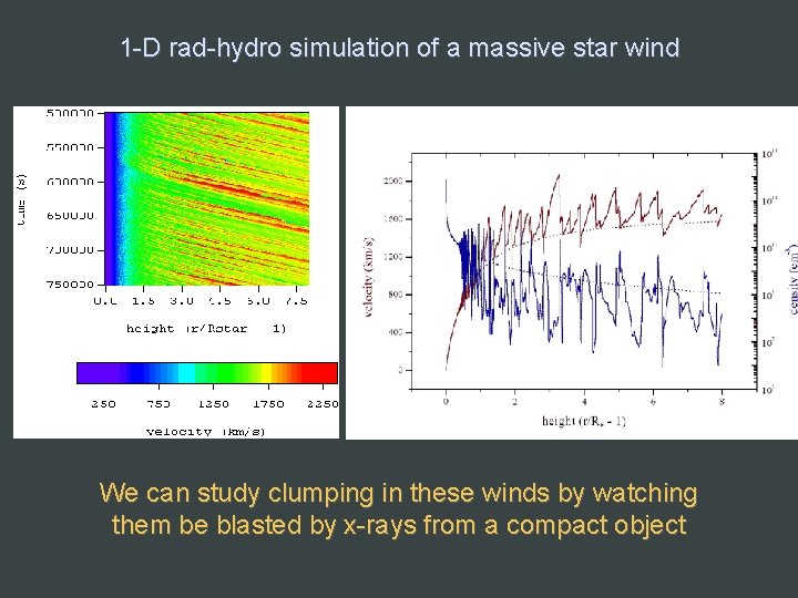 1 -D rad-hydro simulation of a massive star wind We can study clumping in