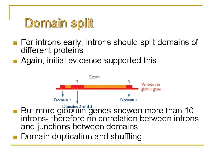 Domain split n n For introns early, introns should split domains of different proteins