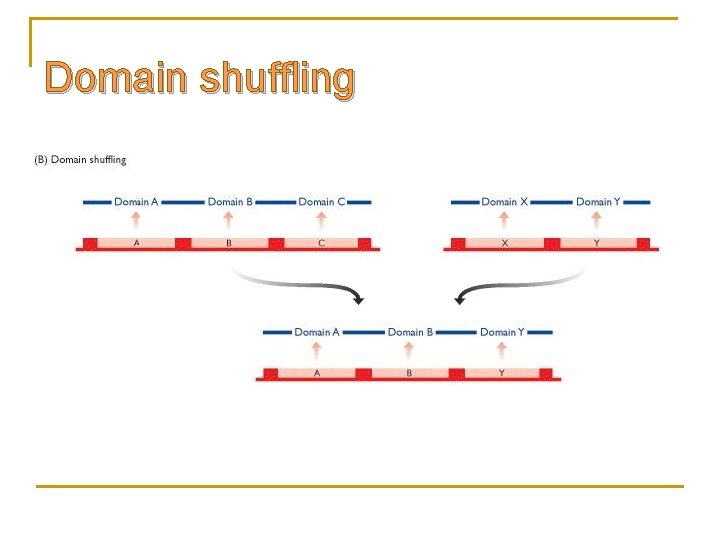 Domain shuffling 