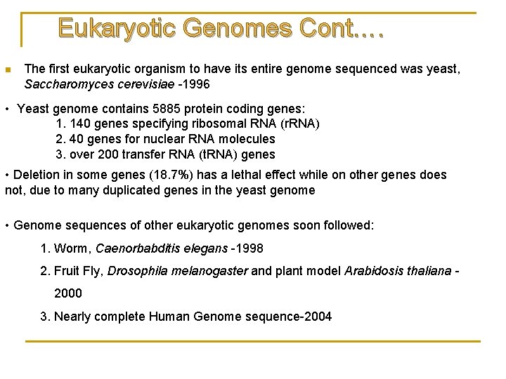 Eukaryotic Genomes Cont…. n The first eukaryotic organism to have its entire genome sequenced