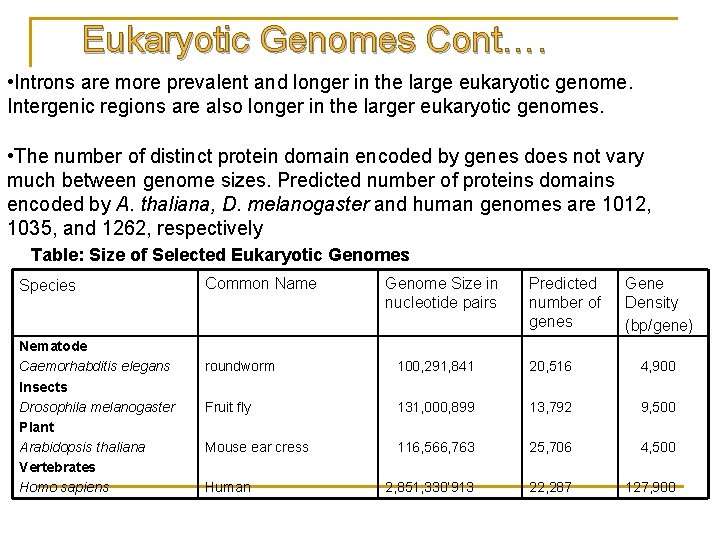 Eukaryotic Genomes Cont…. • Introns are more prevalent and longer in the large eukaryotic