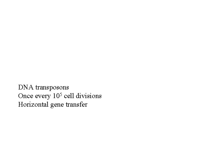 DNA transposons Once every 105 cell divisions Horizontal gene transfer 