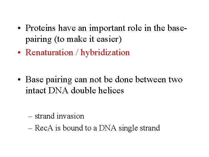  • Proteins have an important role in the basepairing (to make it easier)