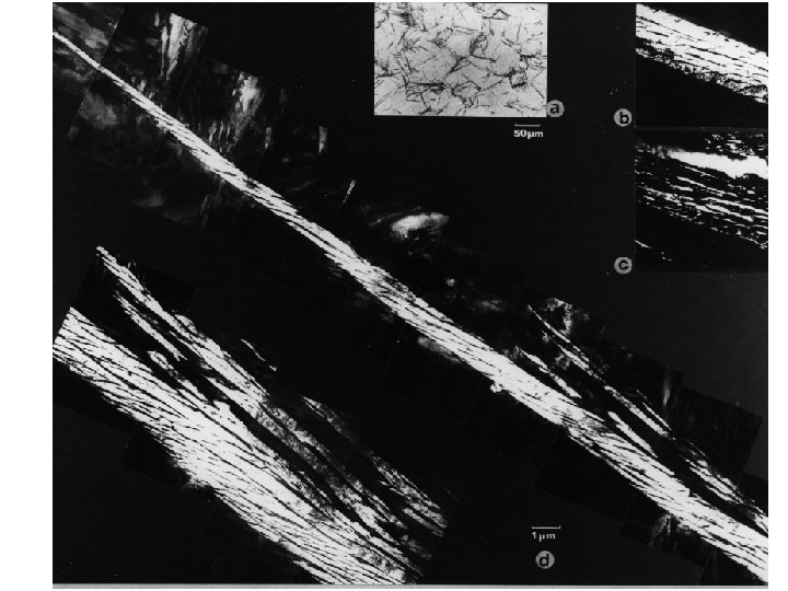 50 µm 