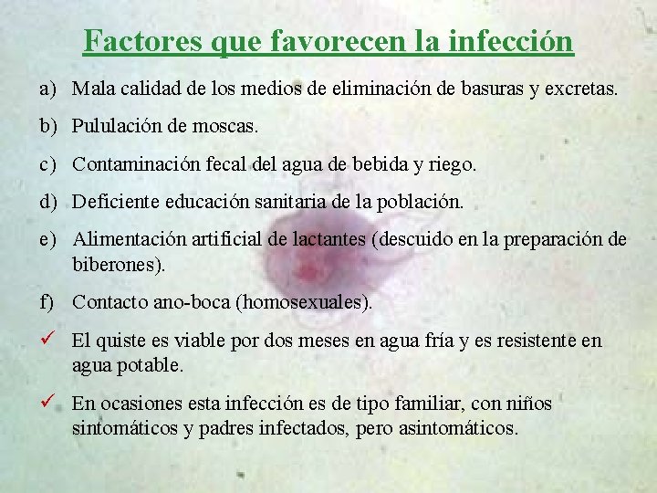 Factores que favorecen la infección a) Mala calidad de los medios de eliminación de