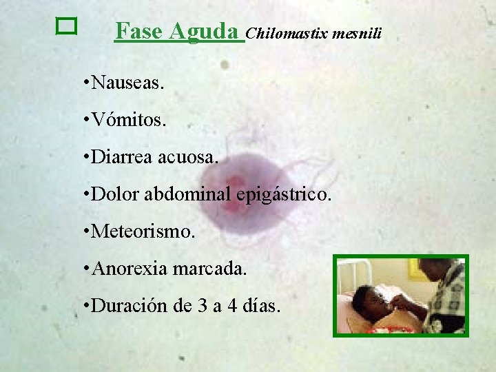 Fase Aguda Chilomastix mesnili • Nauseas. • Vómitos. • Diarrea acuosa. • Dolor abdominal