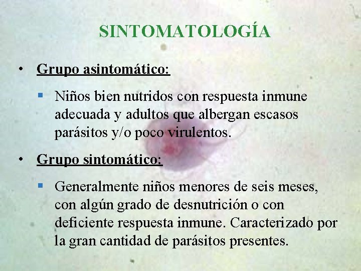 SINTOMATOLOGÍA • Grupo asintomático: § Niños bien nutridos con respuesta inmune adecuada y adultos