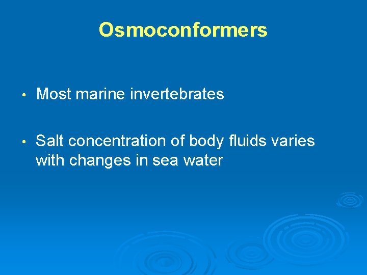 Osmoconformers • Most marine invertebrates • Salt concentration of body fluids varies with changes
