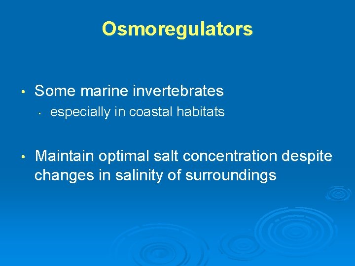 Osmoregulators • Some marine invertebrates • • especially in coastal habitats Maintain optimal salt