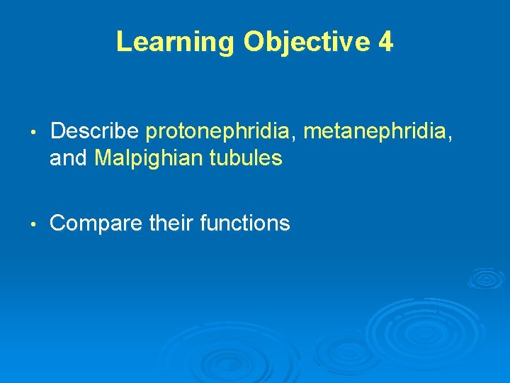 Learning Objective 4 • Describe protonephridia, metanephridia, and Malpighian tubules • Compare their functions