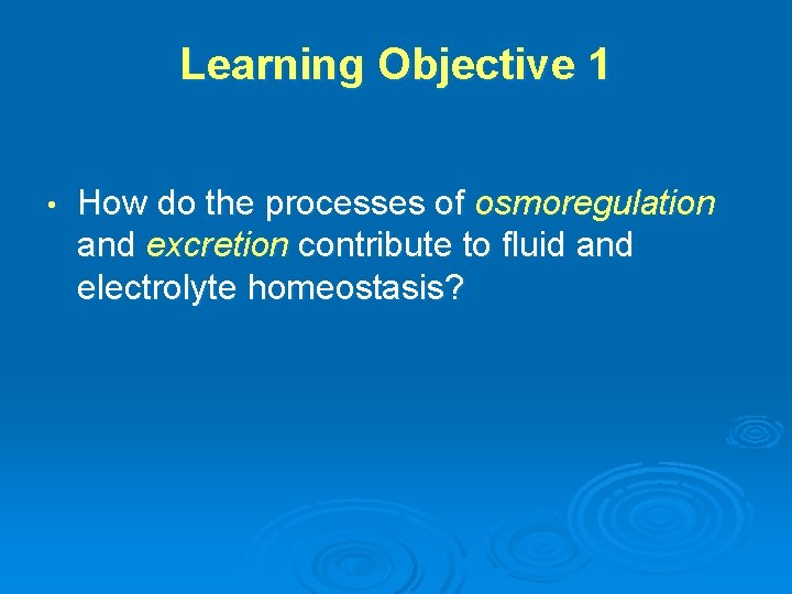 Learning Objective 1 • How do the processes of osmoregulation and excretion contribute to