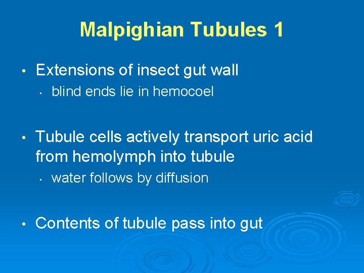 Malpighian Tubules 1 • Extensions of insect gut wall • • Tubule cells actively