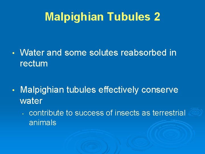 Malpighian Tubules 2 • Water and some solutes reabsorbed in rectum • Malpighian tubules
