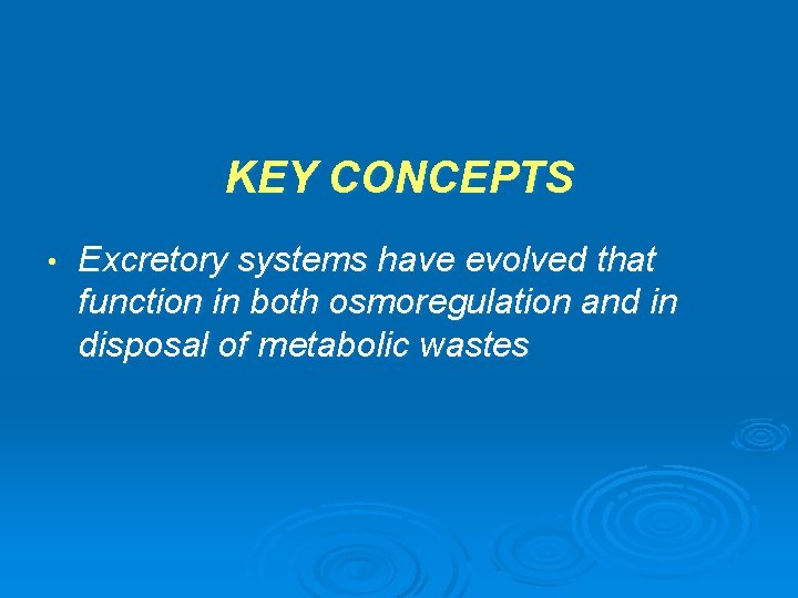 KEY CONCEPTS • Excretory systems have evolved that function in both osmoregulation and in
