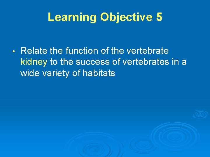 Learning Objective 5 • Relate the function of the vertebrate kidney to the success