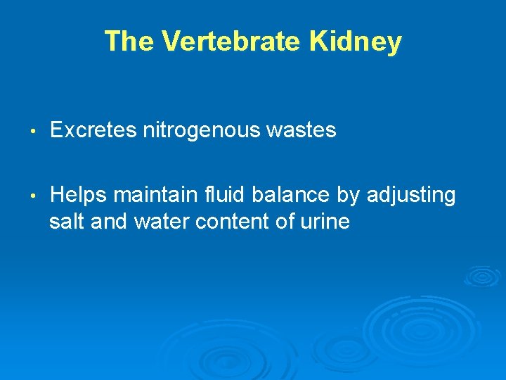 The Vertebrate Kidney • Excretes nitrogenous wastes • Helps maintain fluid balance by adjusting