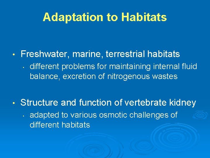 Adaptation to Habitats • Freshwater, marine, terrestrial habitats • • different problems for maintaining