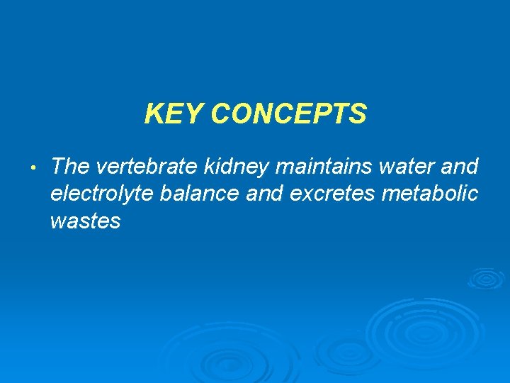 KEY CONCEPTS • The vertebrate kidney maintains water and electrolyte balance and excretes metabolic