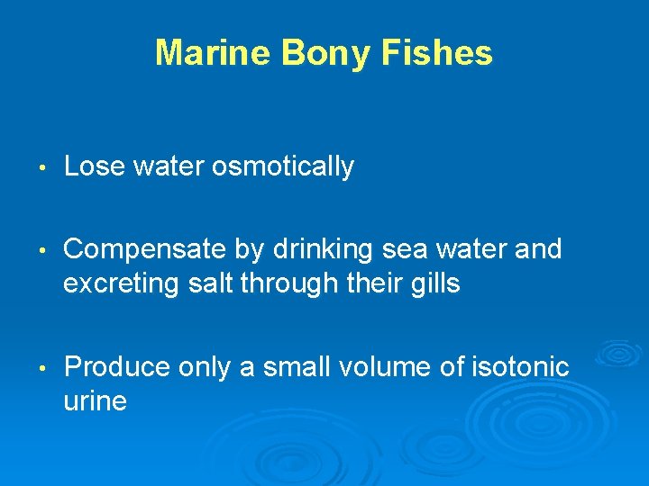 Marine Bony Fishes • Lose water osmotically • Compensate by drinking sea water and